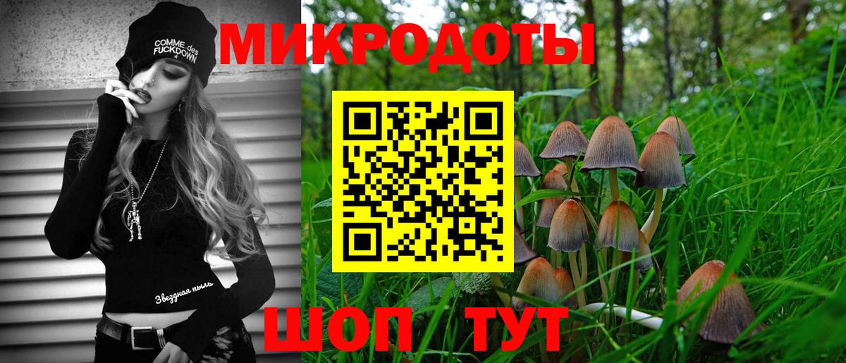 Нижний Новгород  Псилоцибиновые грибы мицелий  Вход с VPN 